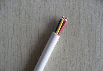 ս