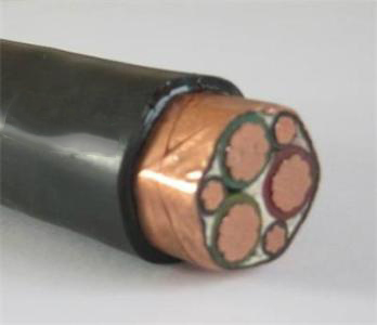 �۰�����Ͳ����